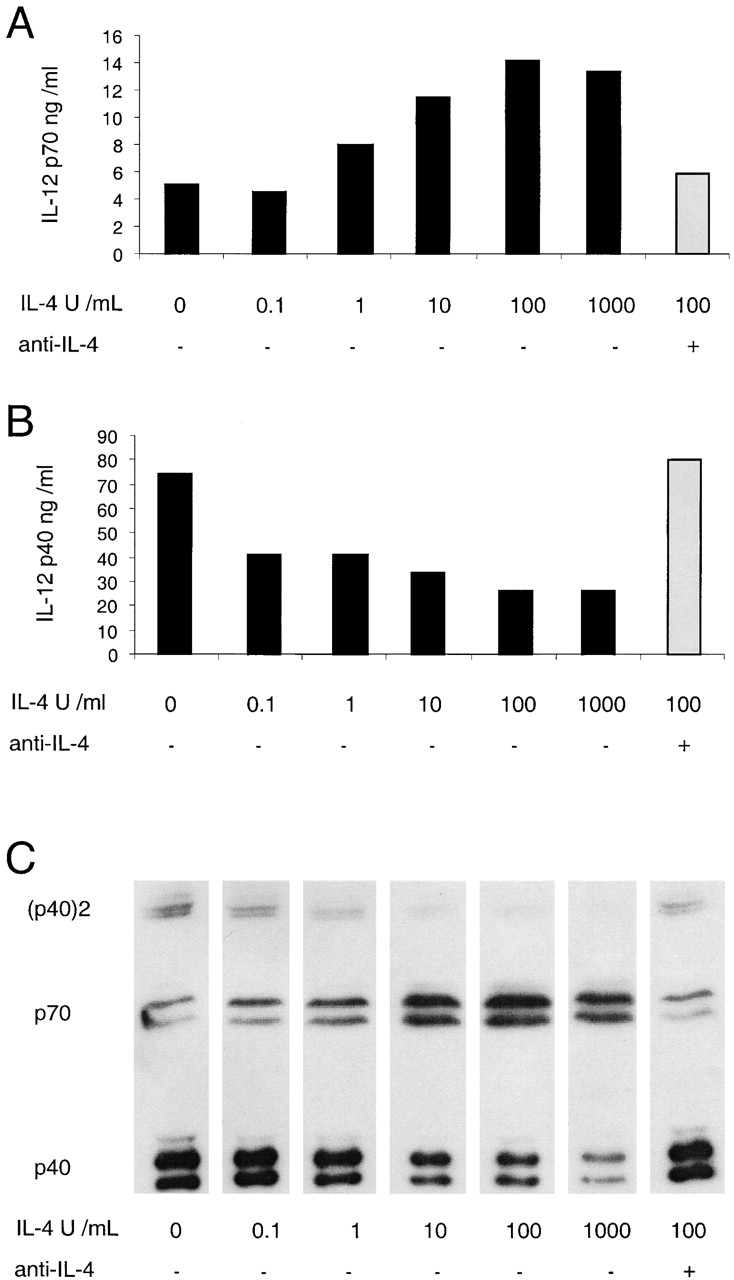 An external file that holds a picture, illustration, etc.
Object name is JEM000721.f4.jpg