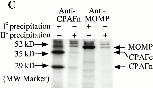 An external file that holds a picture, illustration, etc.
Object name is JEM001922.f2c.jpg