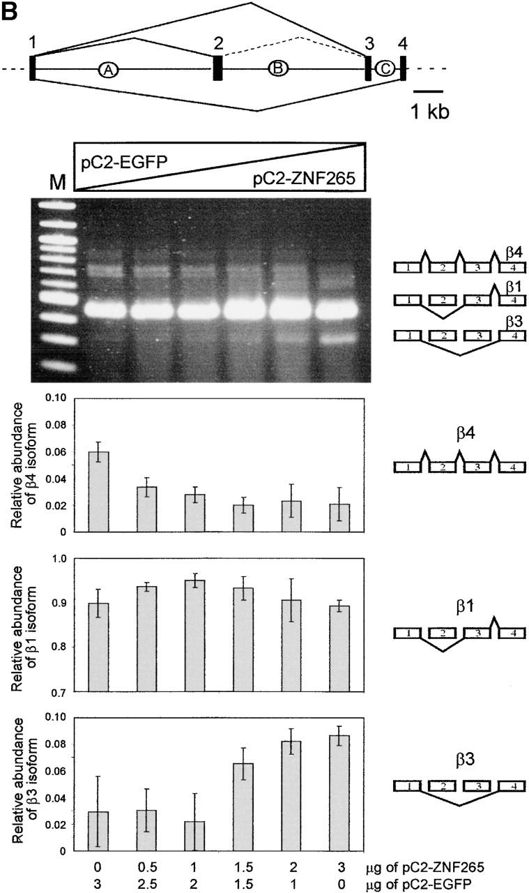 An external file that holds a picture, illustration, etc.
Object name is 0010059f5b.jpg