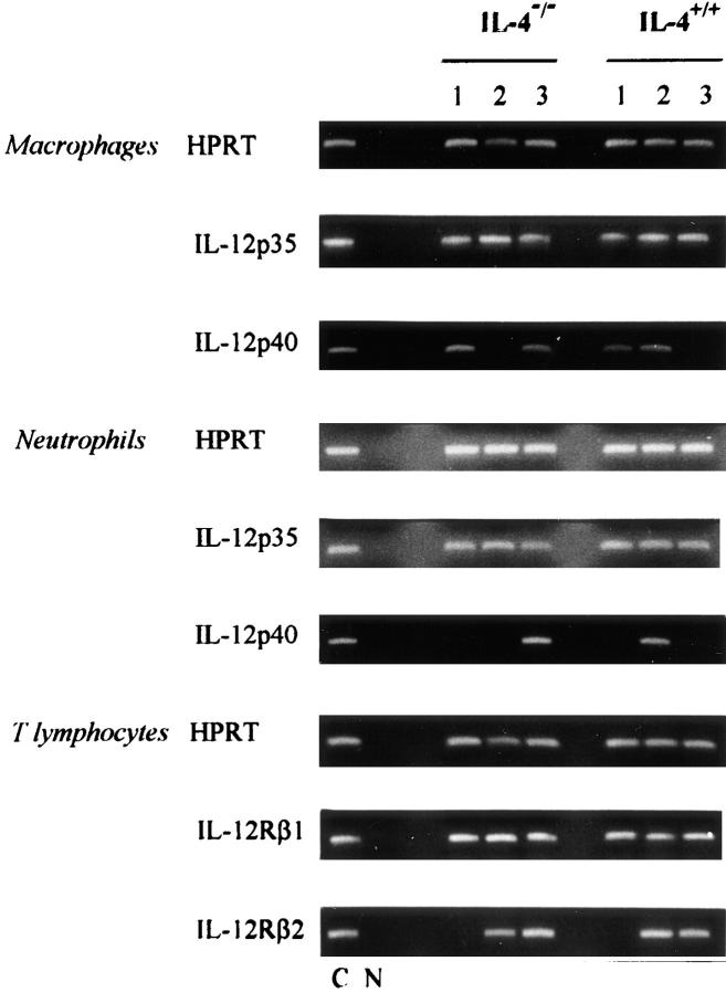 An external file that holds a picture, illustration, etc.
Object name is JEM971224.f5.jpg