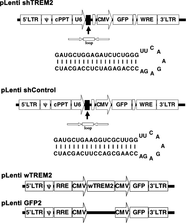 An external file that holds a picture, illustration, etc.
Object name is 20041611f6.jpg