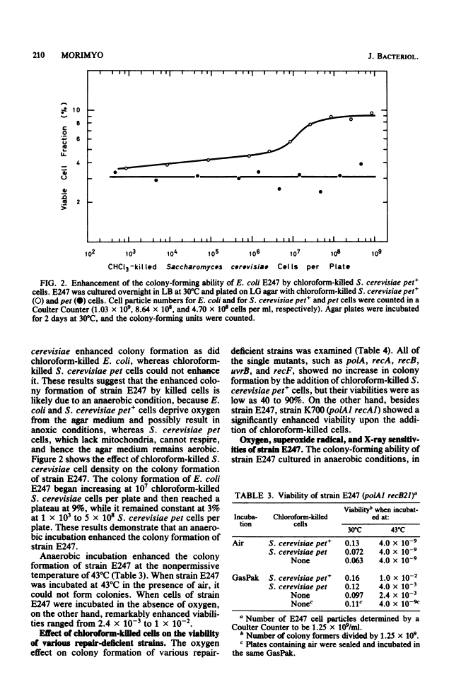 icon of scanned page 210