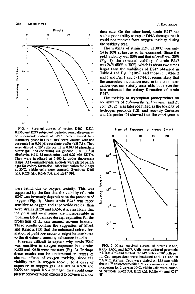 icon of scanned page 212