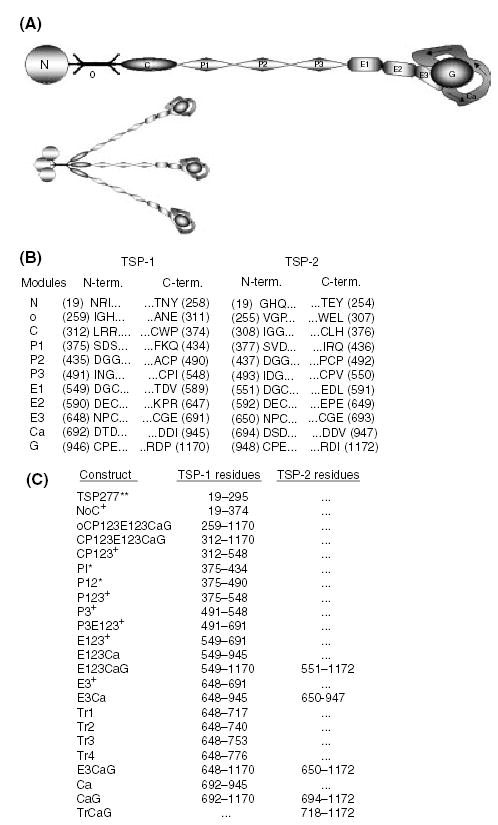 An external file that holds a picture, illustration, etc.
Object name is nihms9910f1.jpg