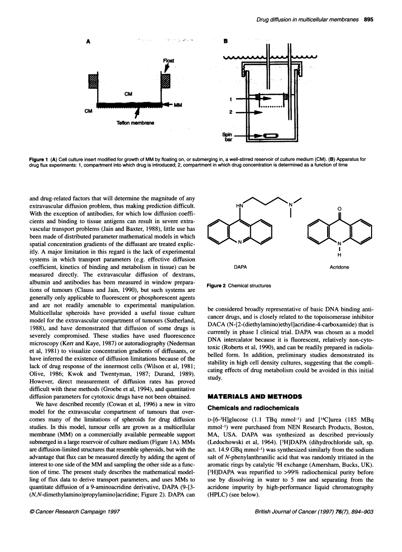 icon of scanned page 895