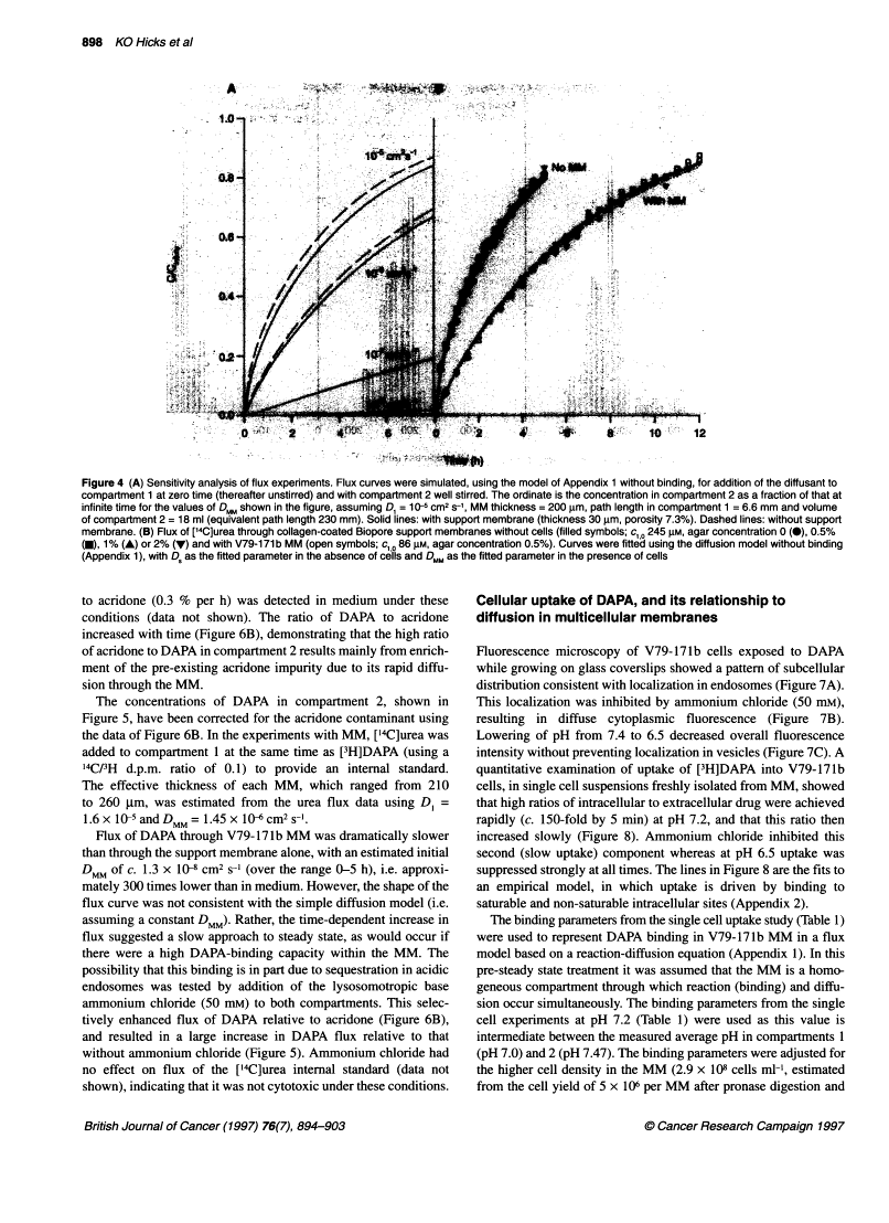 icon of scanned page 898