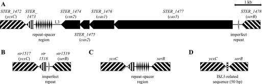 An external file that holds a picture, illustration, etc.
Object name is zjb0040875360001.jpg