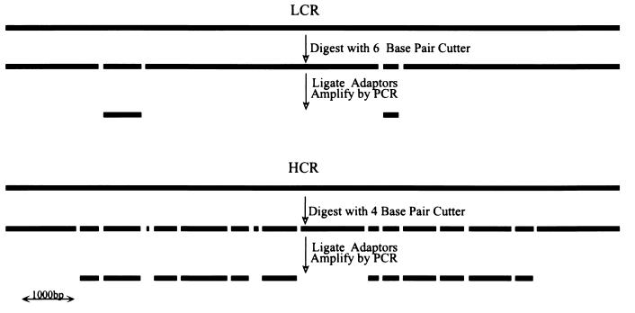 An external file that holds a picture, illustration, etc.
Object name is pq0780354001.jpg