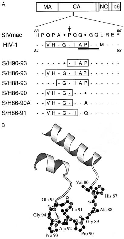 An external file that holds a picture, illustration, etc.
Object name is pq2072424001.jpg