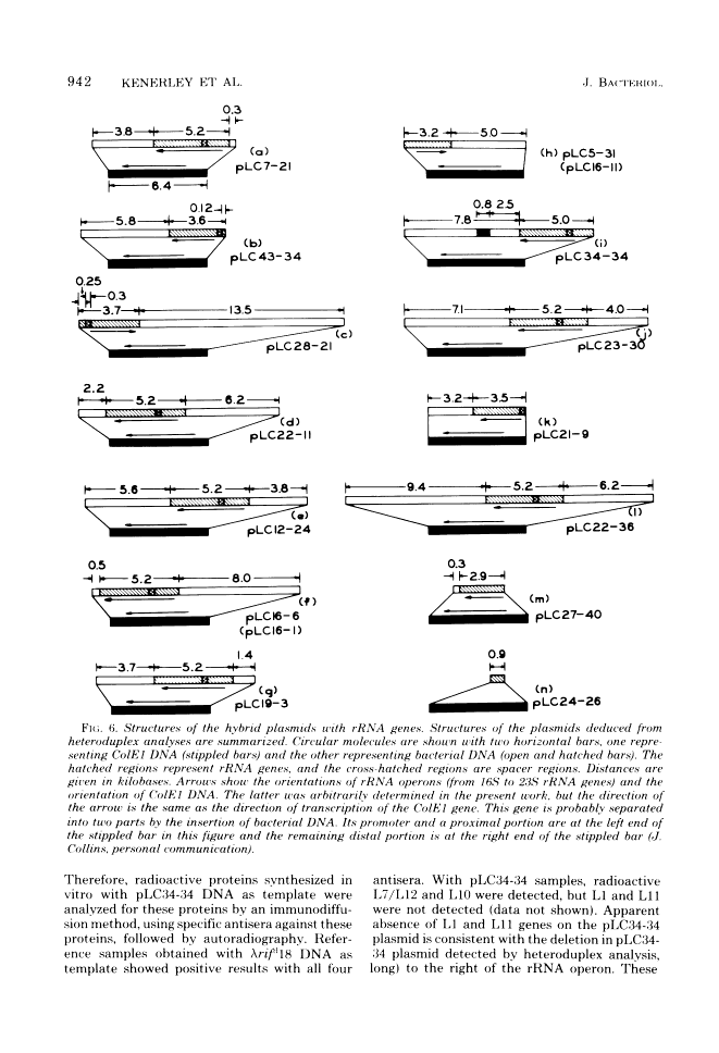 icon of scanned page 942