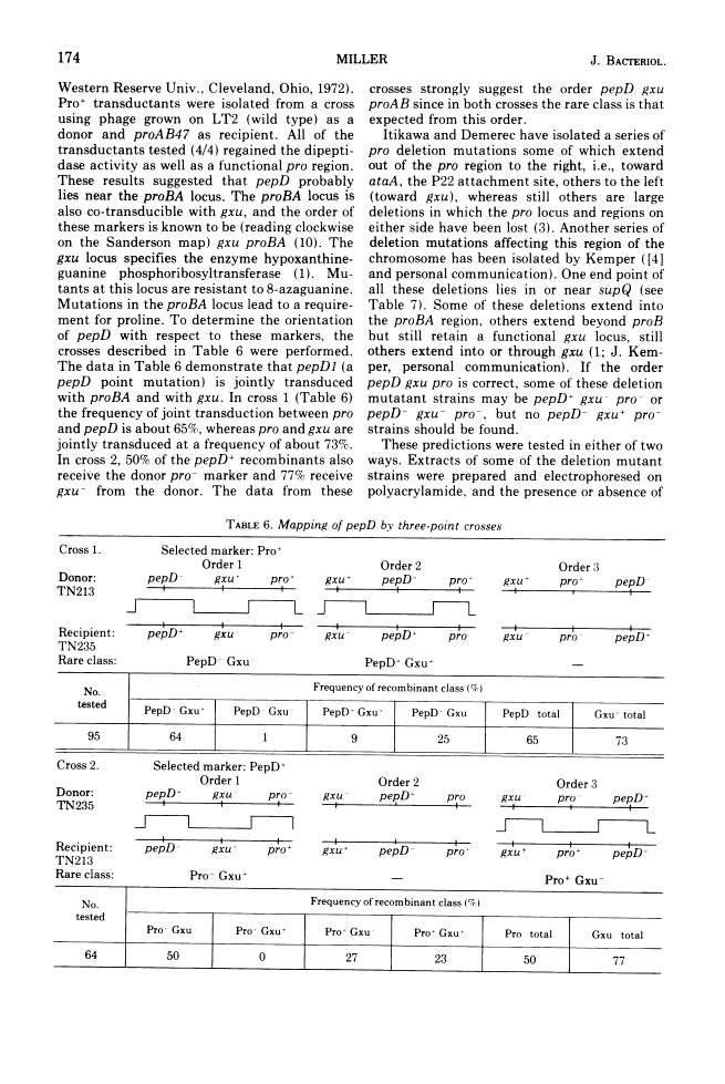 icon of scanned page 174