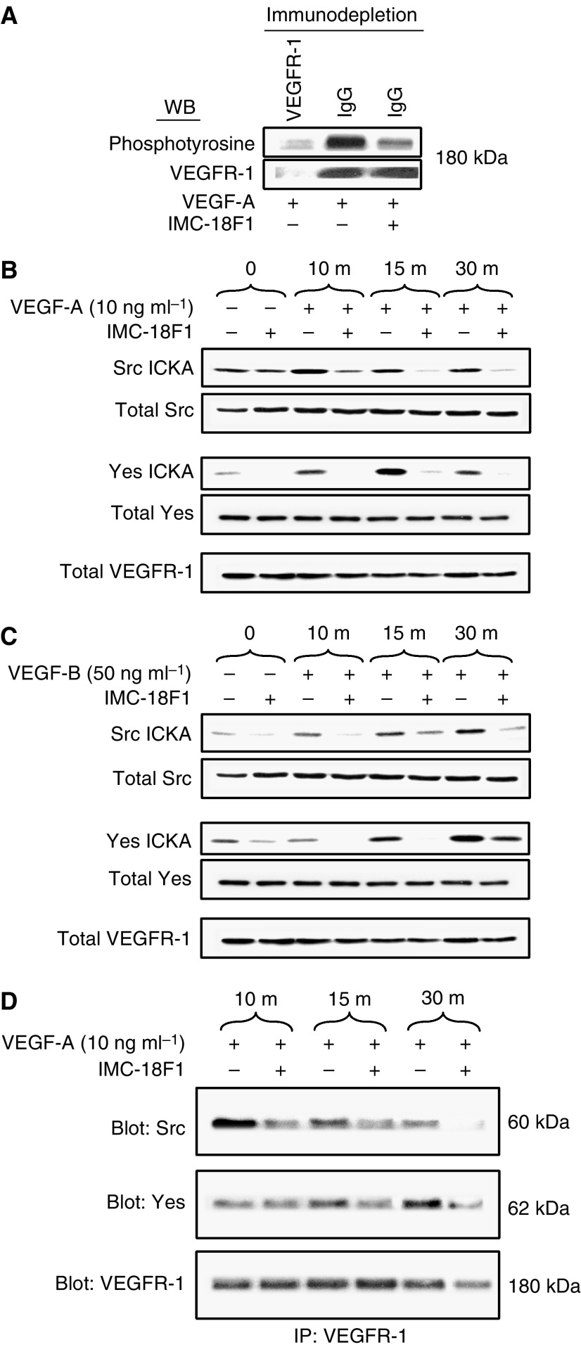 An external file that holds a picture, illustration, etc.
Object name is 94-6603143f2.jpg