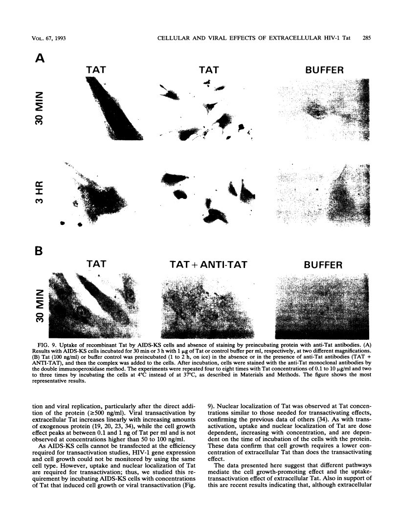 icon of scanned page 285