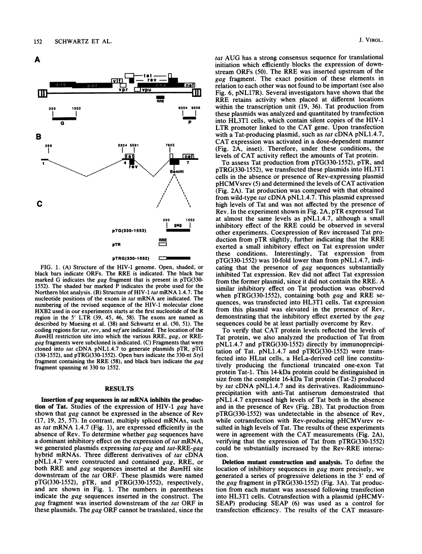 icon of scanned page 152