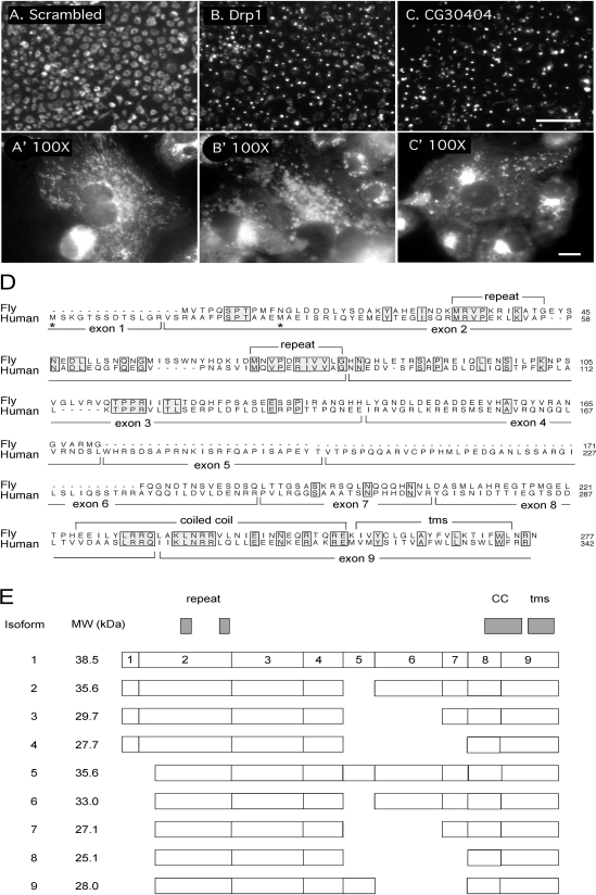 An external file that holds a picture, illustration, etc.
Object name is zmk0060885640001.jpg