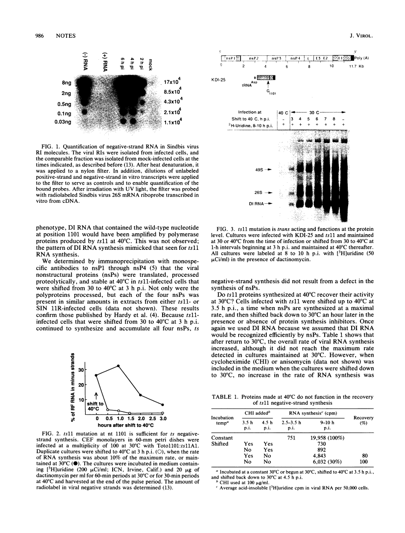 icon of scanned page 986