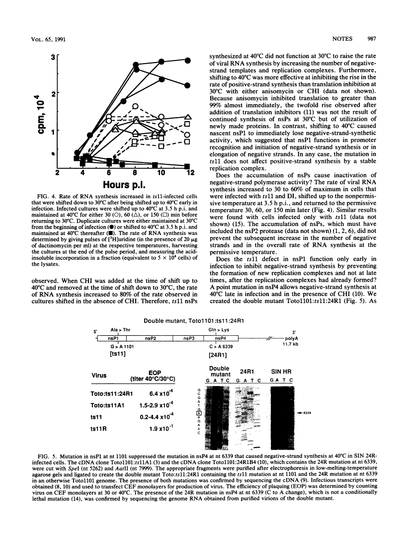 icon of scanned page 987