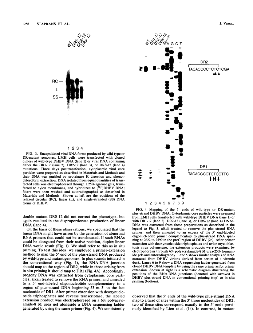 icon of scanned page 1258