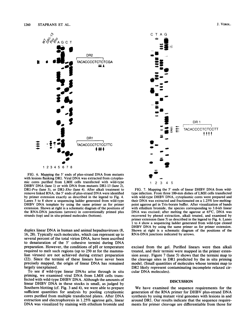 icon of scanned page 1260