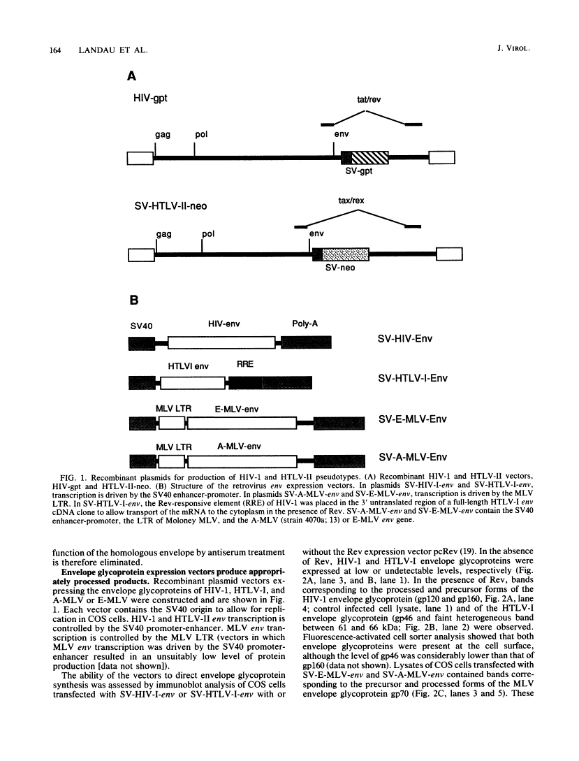 icon of scanned page 164