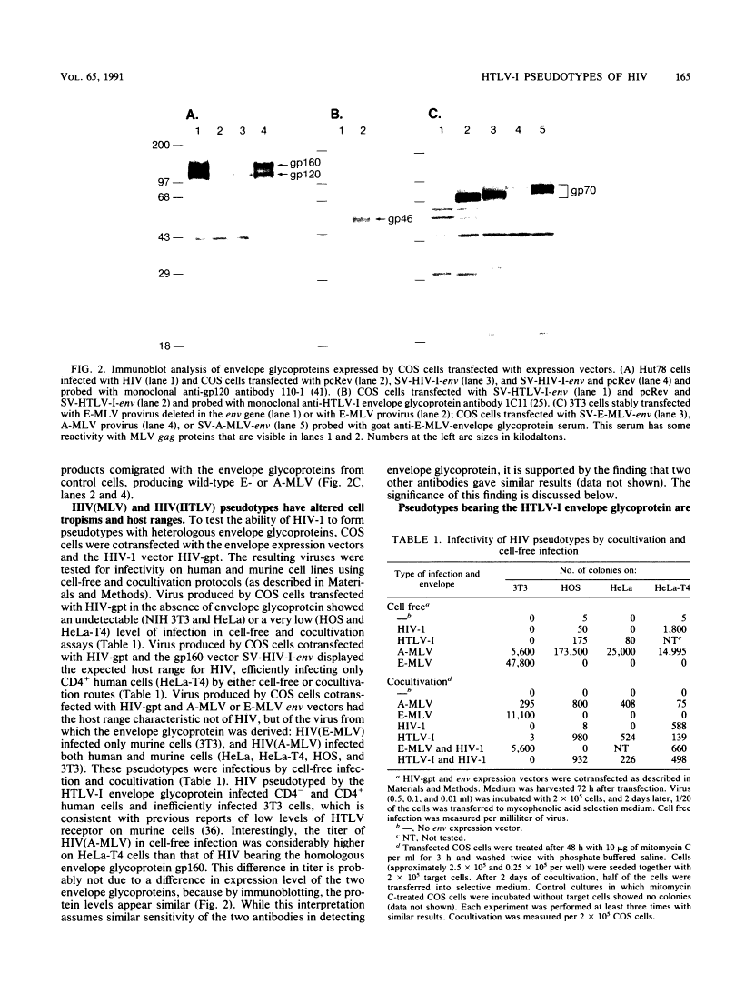 icon of scanned page 165