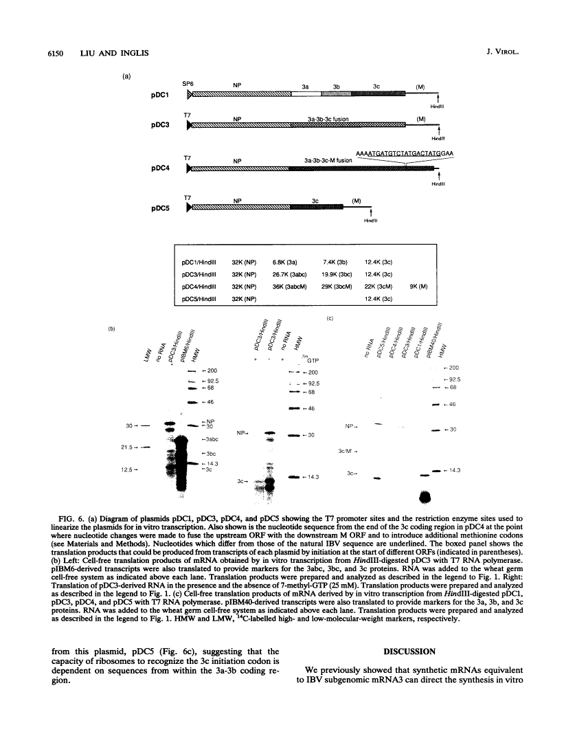 icon of scanned page 6150