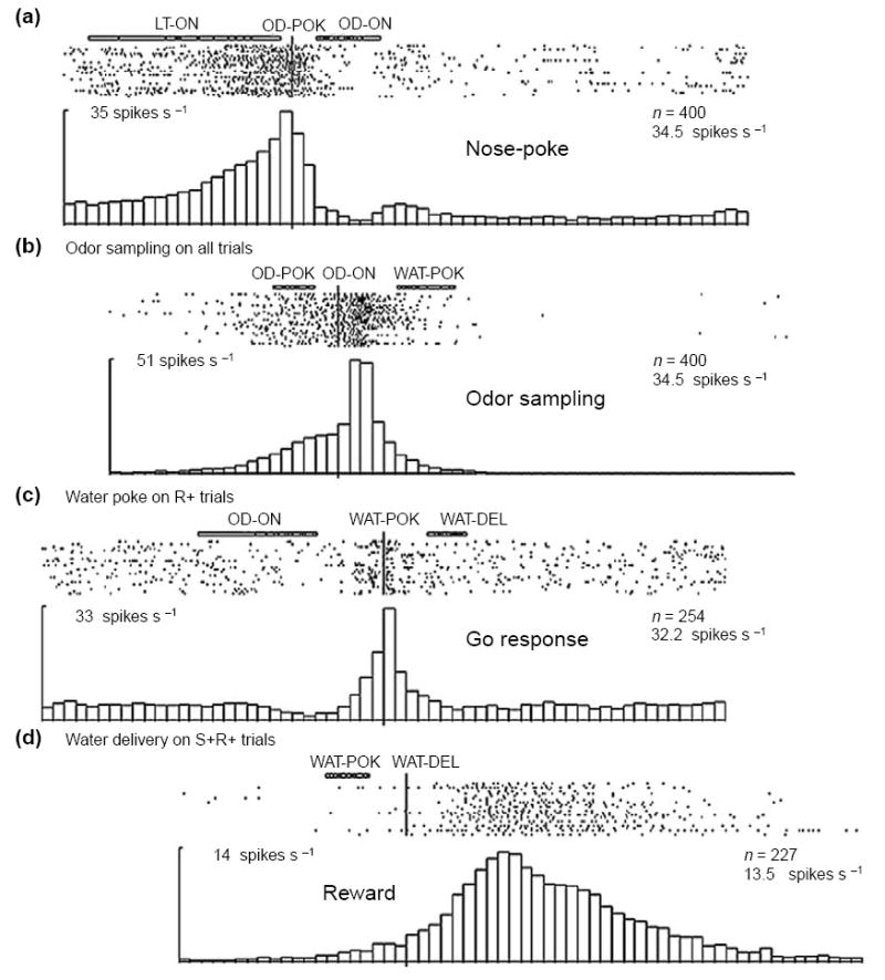 An external file that holds a picture, illustration, etc.
Object name is nihms52727f5.jpg