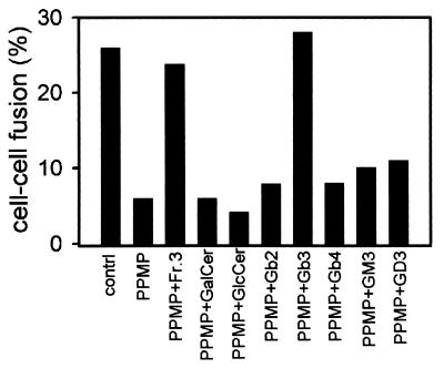 An external file that holds a picture, illustration, etc.
Object name is pq2483669004.jpg