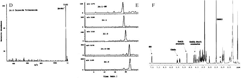 An external file that holds a picture, illustration, etc.
Object name is pq248366902d.jpg