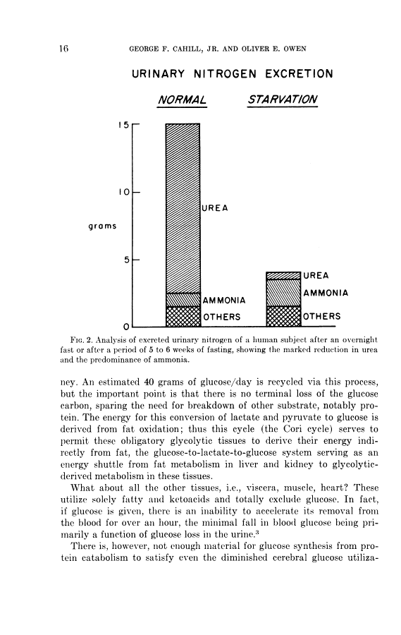 icon of scanned page 16