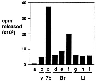 An external file that holds a picture, illustration, etc.
Object name is pq0970652003.jpg