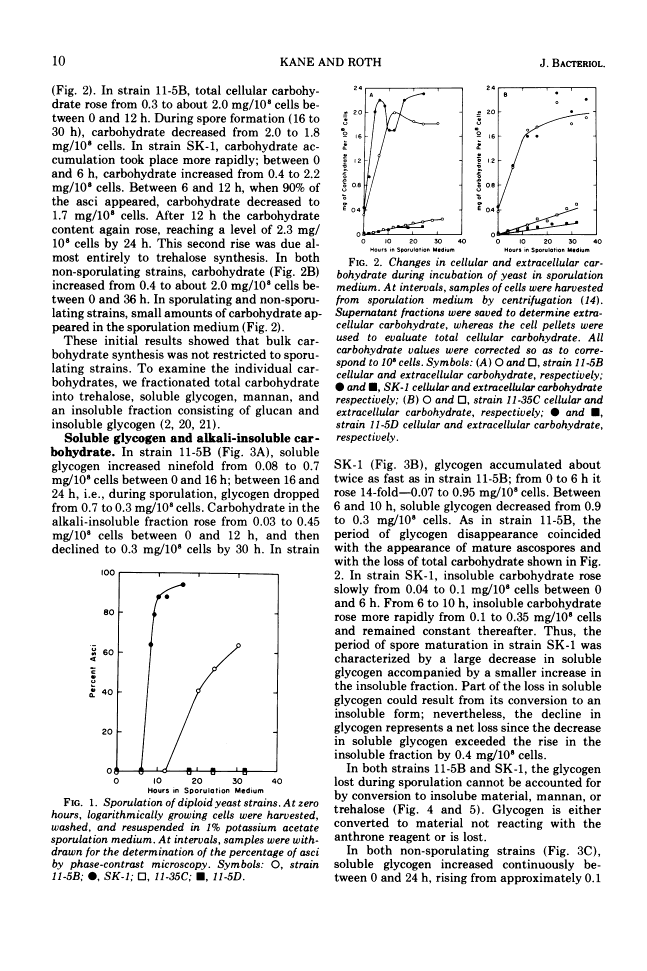 icon of scanned page 10