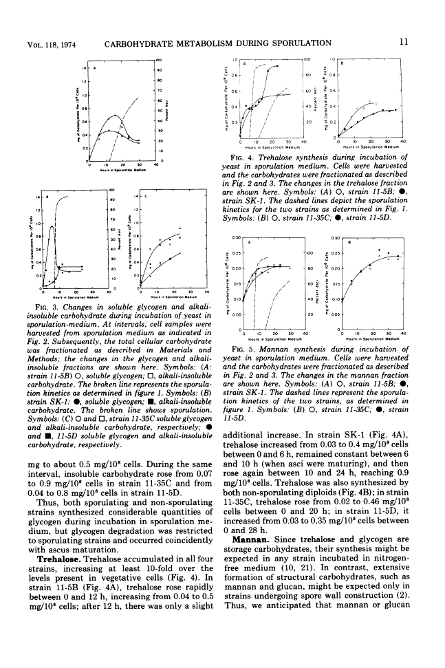 icon of scanned page 11