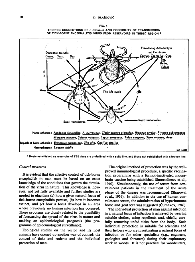 icon of scanned page 10