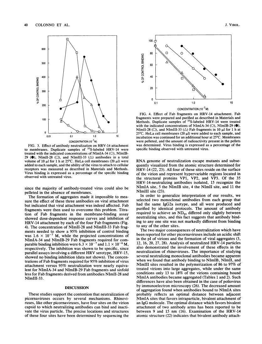 icon of scanned page 40