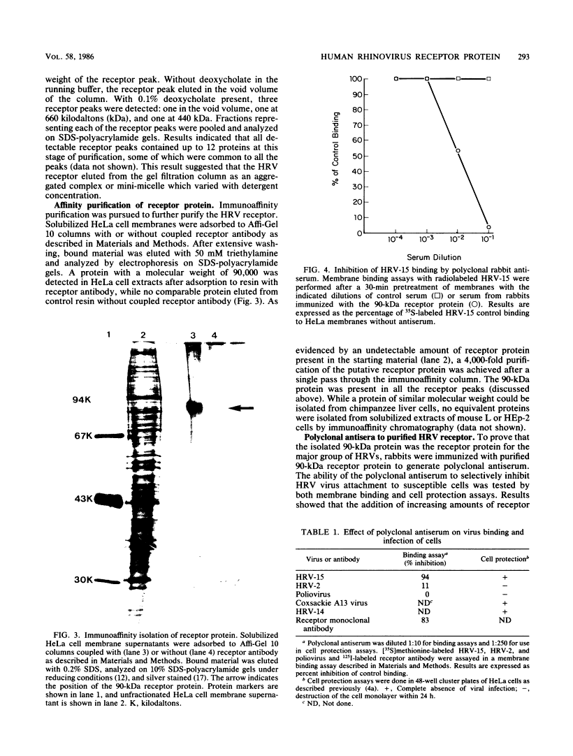 icon of scanned page 293