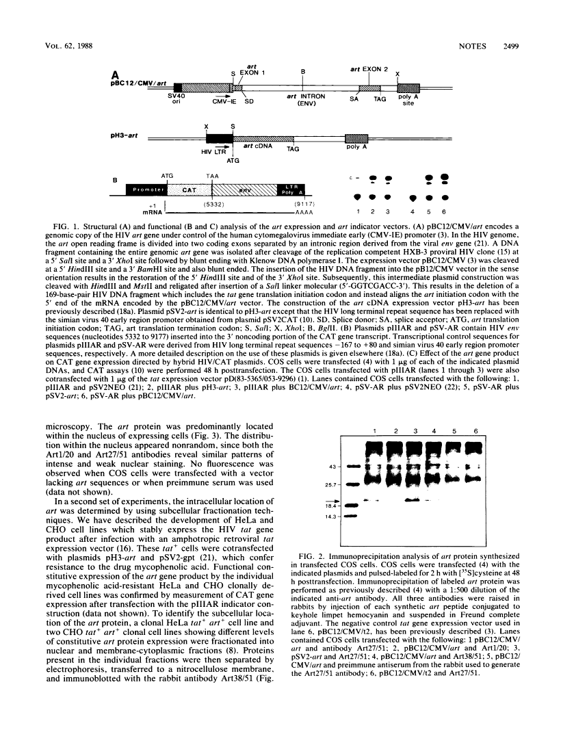 icon of scanned page 2499