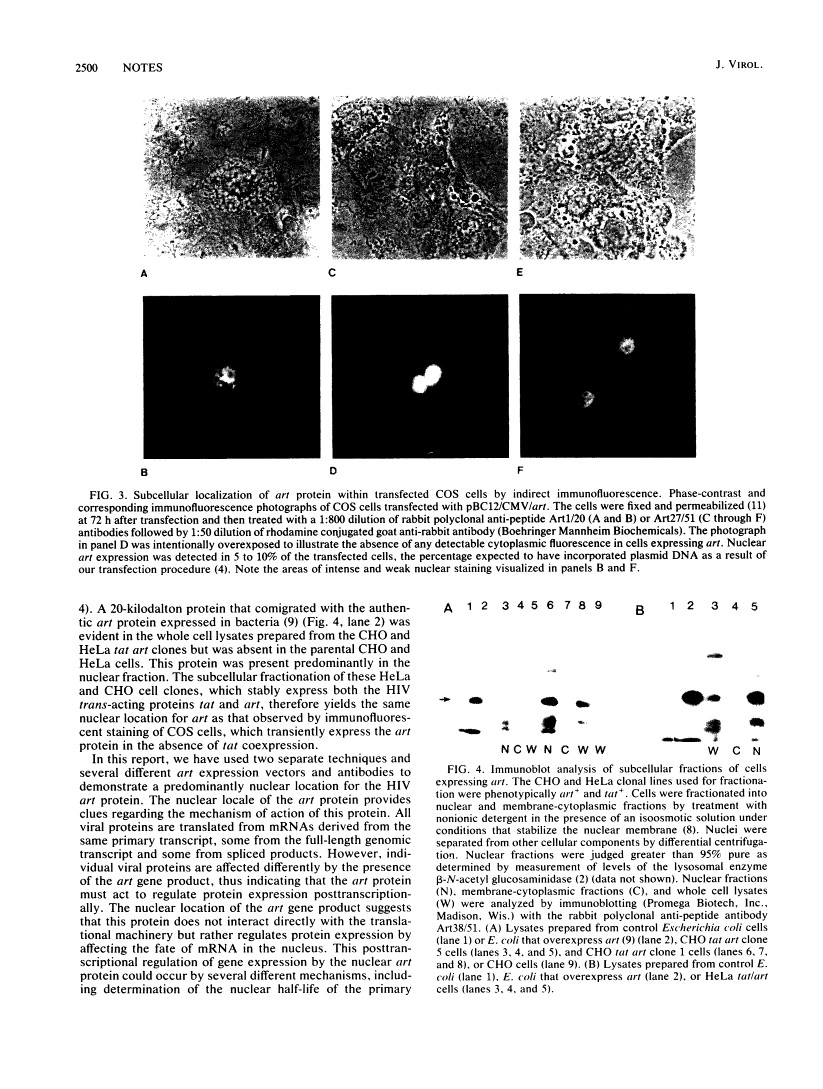 icon of scanned page 2500