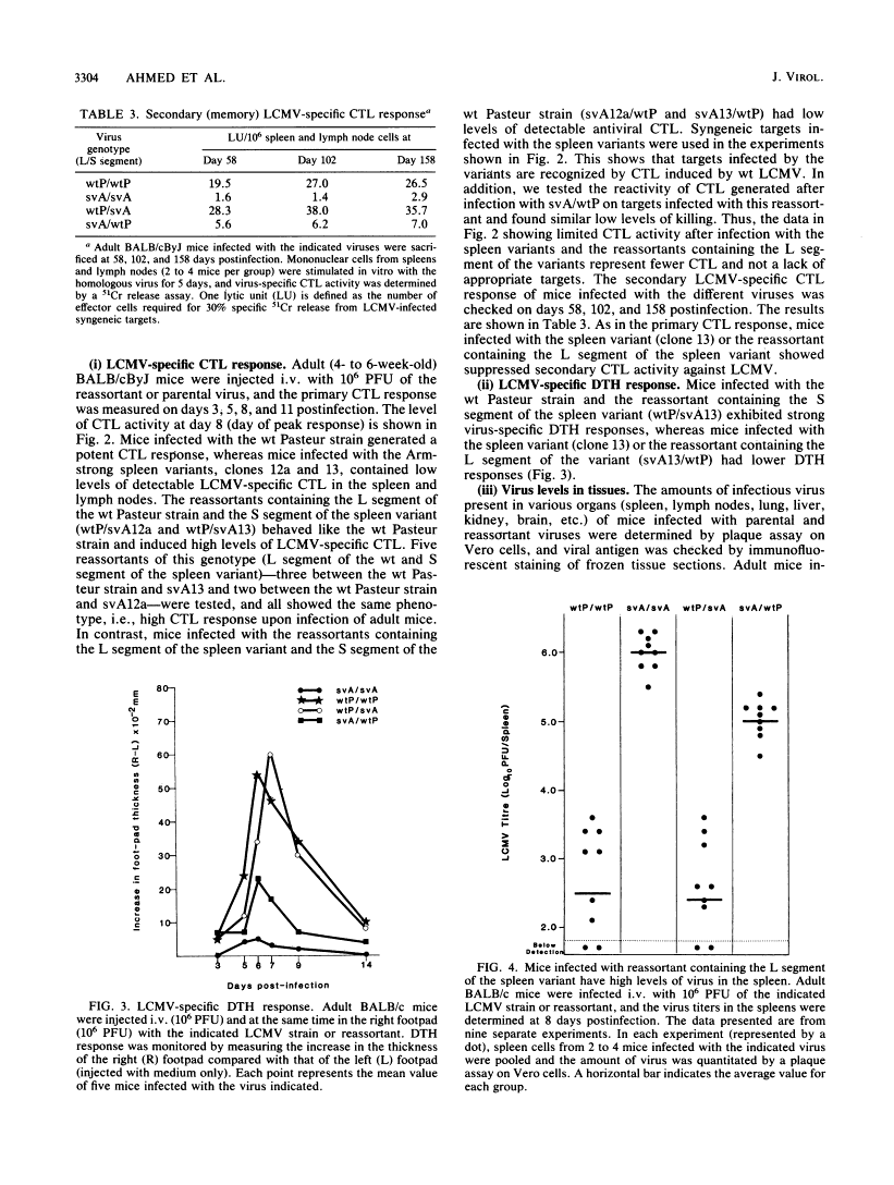 icon of scanned page 3304