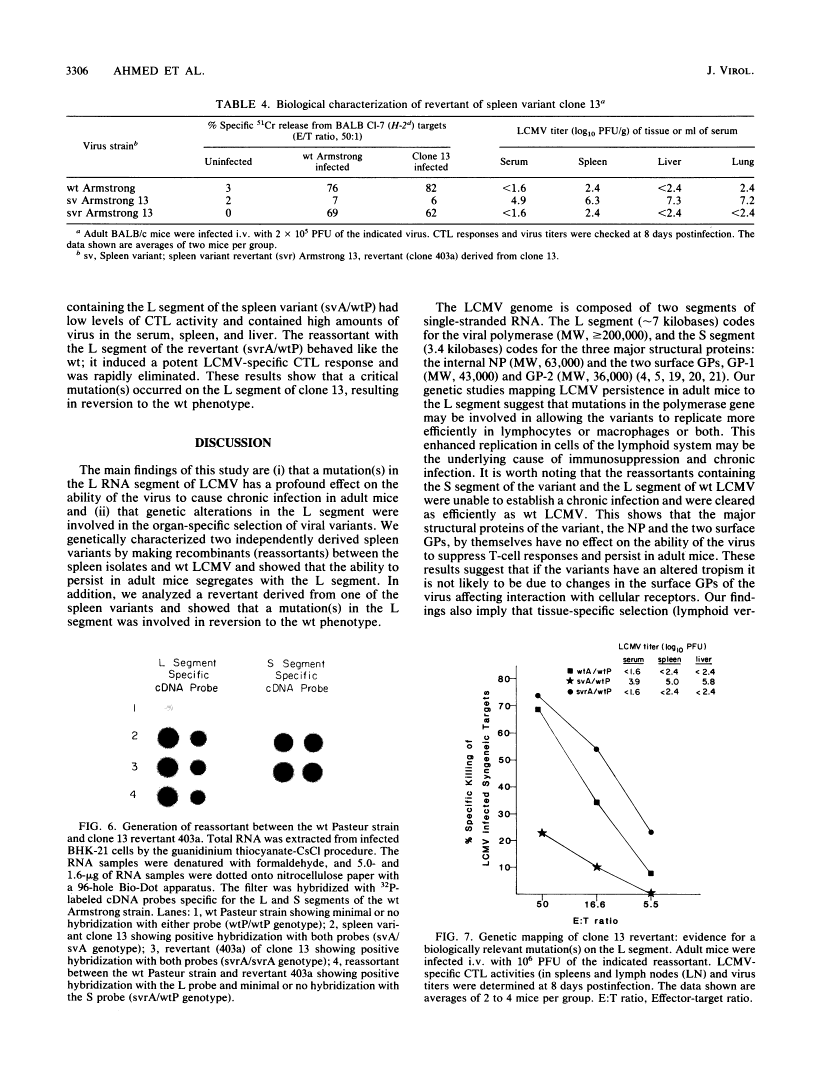 icon of scanned page 3306