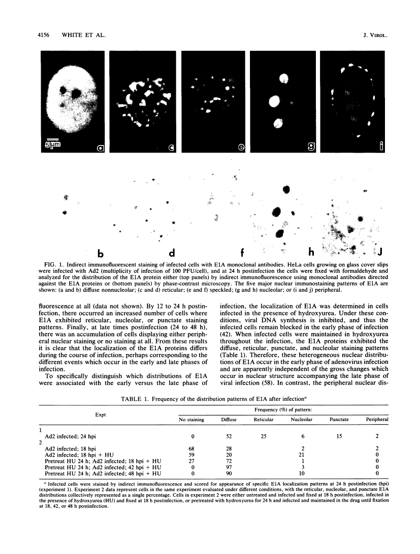 icon of scanned page 4156