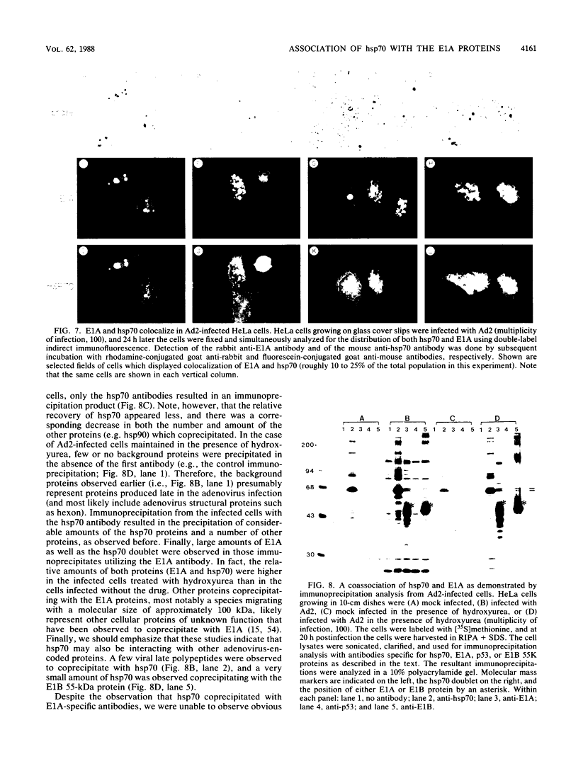 icon of scanned page 4161