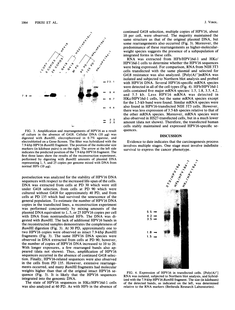 icon of scanned page 1064