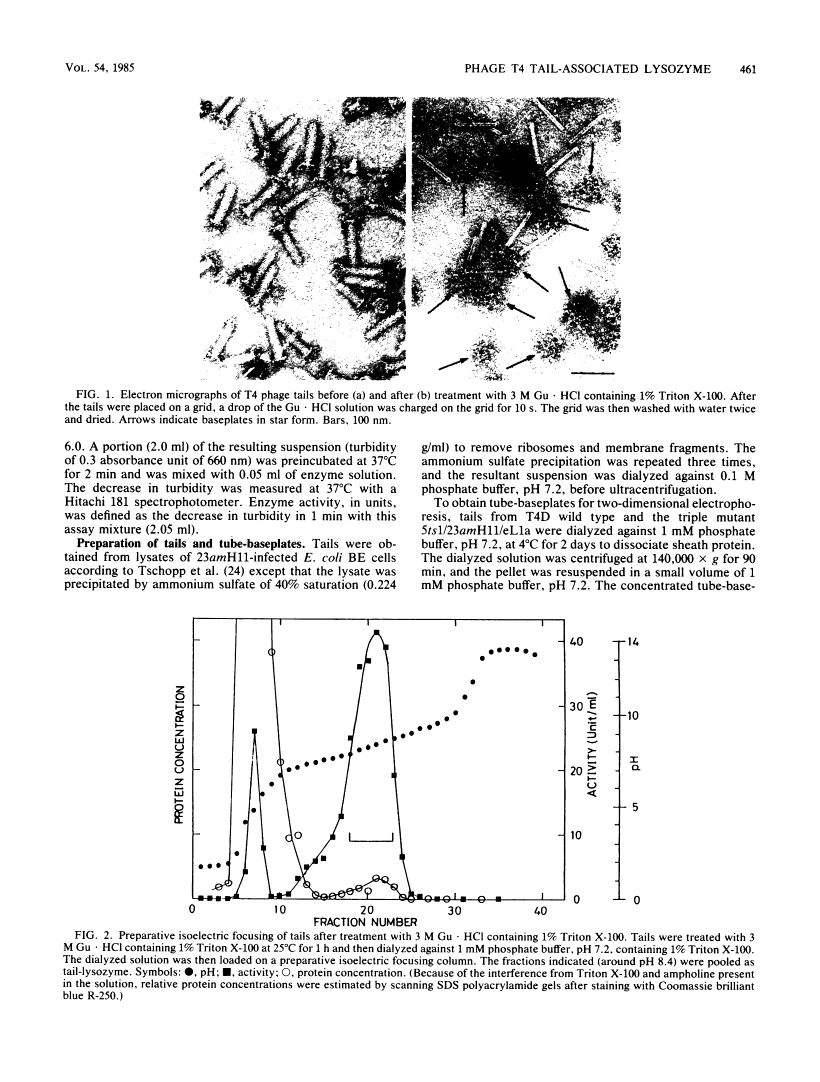 icon of scanned page 461