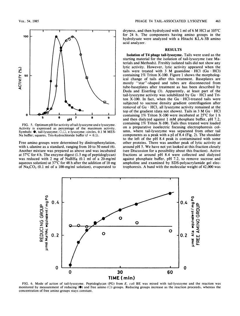 icon of scanned page 463