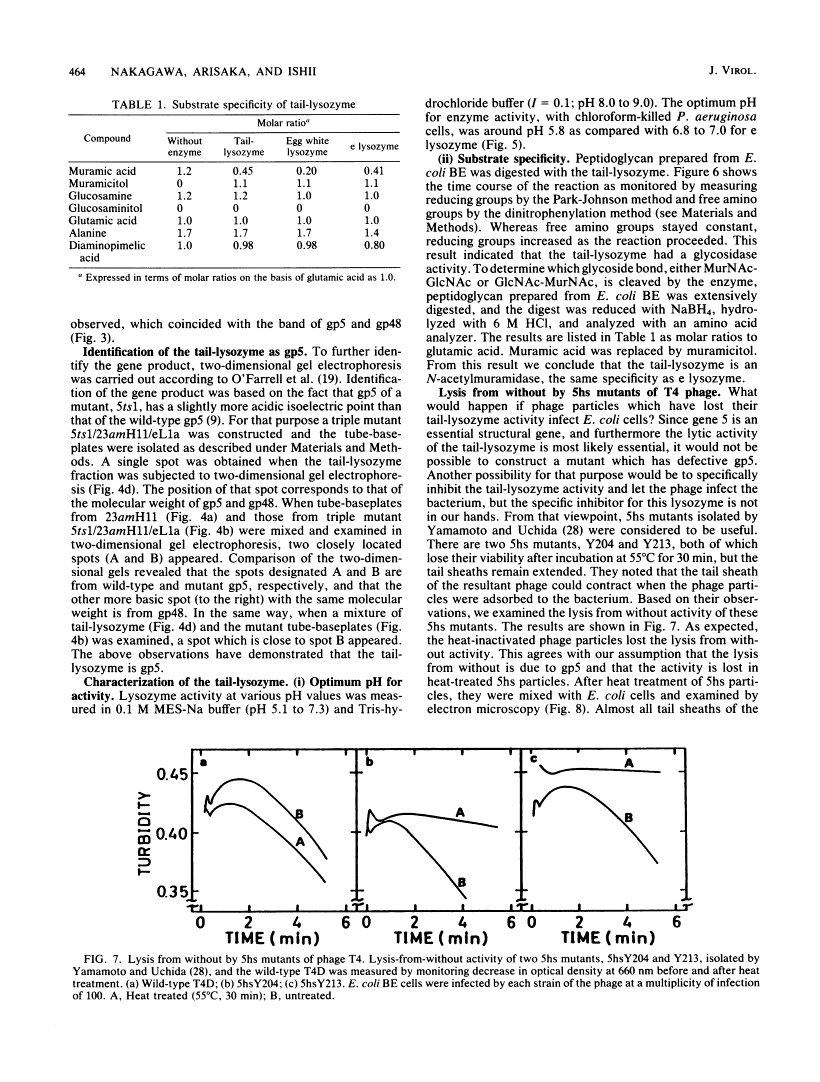 icon of scanned page 464