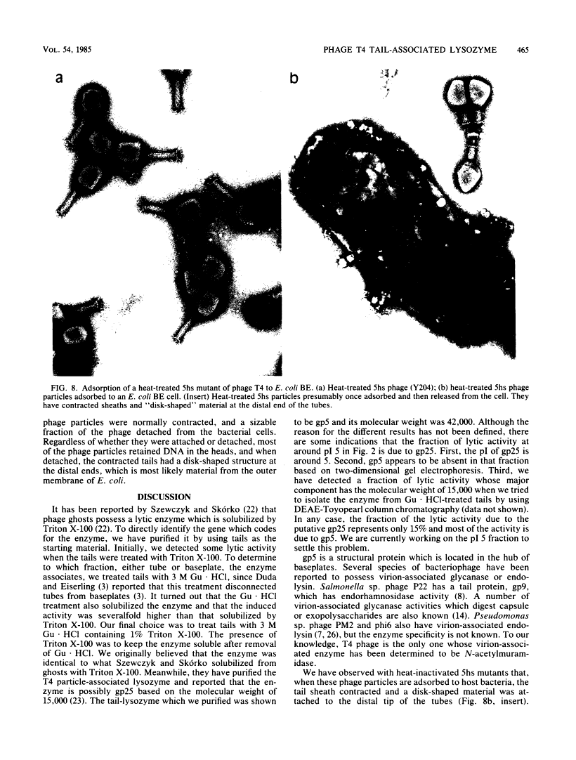 icon of scanned page 465