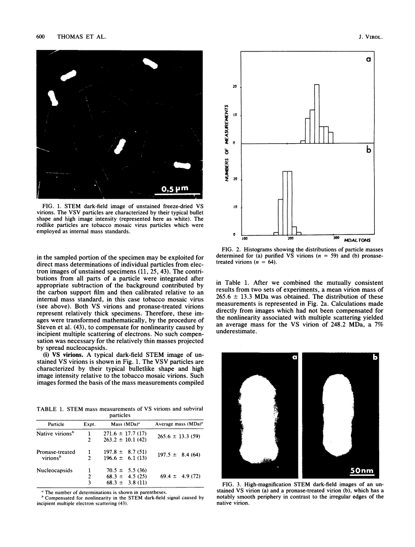 icon of scanned page 600