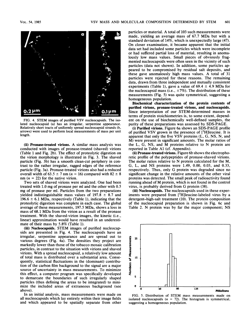 icon of scanned page 601