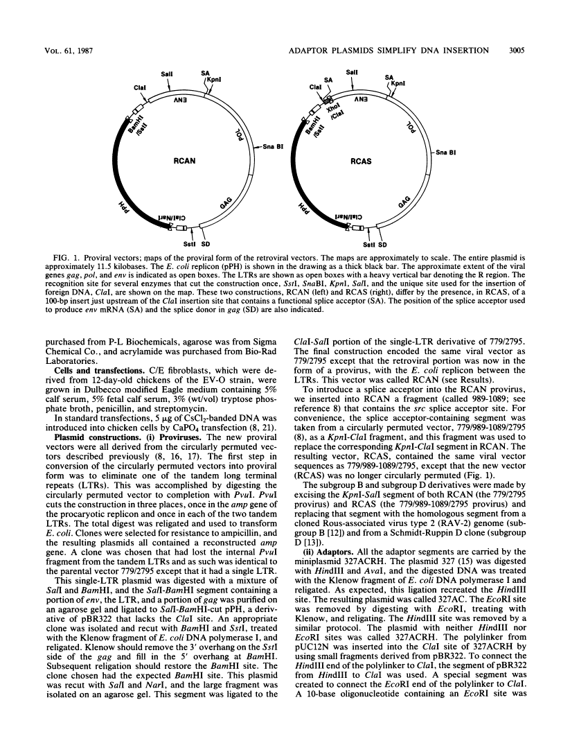 icon of scanned page 3005